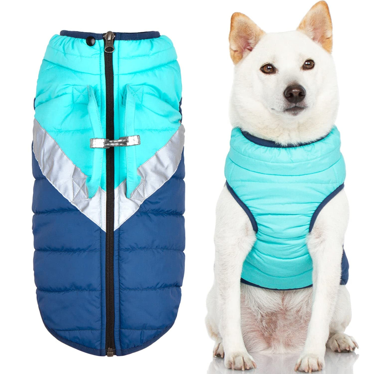 Gooby Mountaineer: veste chien menthe avec zip, chaleur et protection contre le vent.