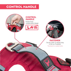 Harnais Gooby Pioneer avec clip frontal pour réduire les tirages et faciliter le contrôle.