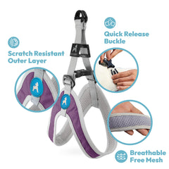 Harnais Gooby Simple Step-In III bleu – mesh intérieur doux pour un contact agréable.