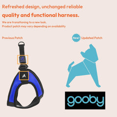 Gooby Step-in Design: harnais bleu facile à enfiler pendant les promenades.