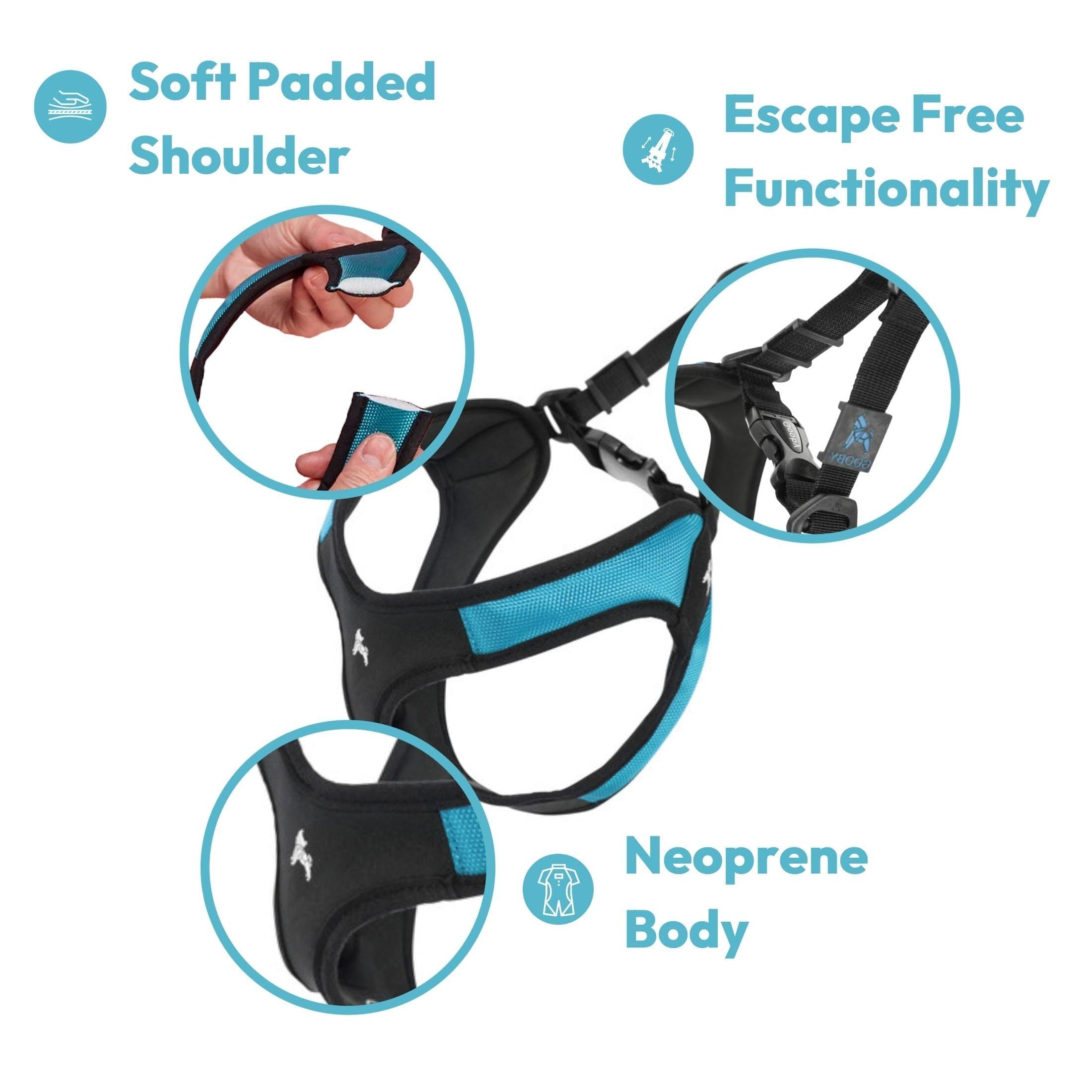Gooby système anti évasion pour chiens curieux.
