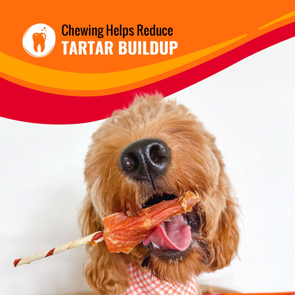 GOOD 'N' FUN Triple Flavor Wings texture mâchage et plaisir durable.