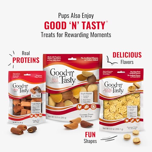 Cadeau idéal pour chien gourmand et actif avec Good 'N' Fun chips.