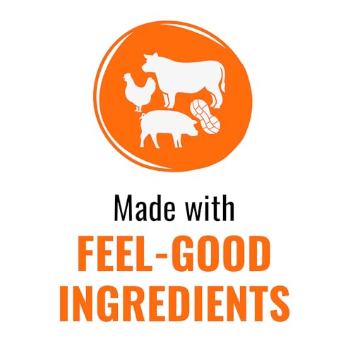 GOOD 'N' FUN recompense quotidienne, bonne option pour récompenser les bons comportements