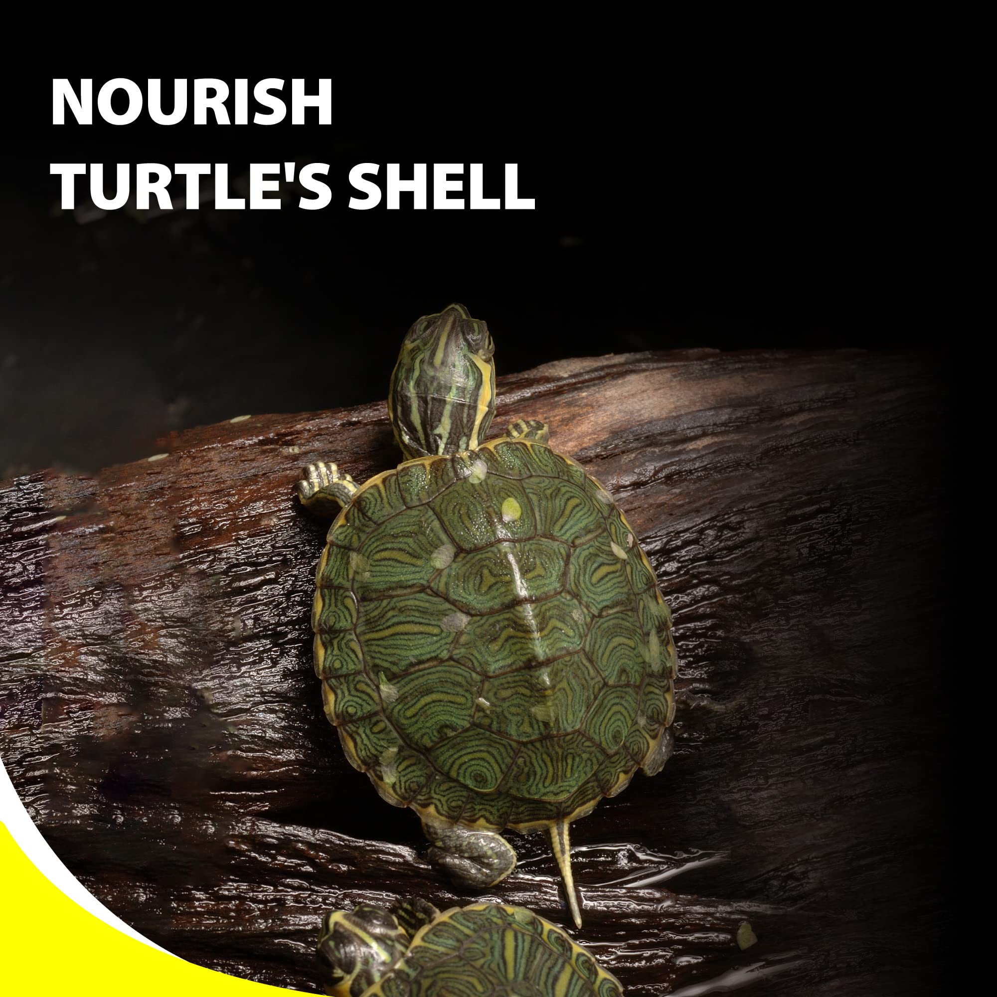 GOOD PARTNER Purify Series – soutien digestif pour tortue active