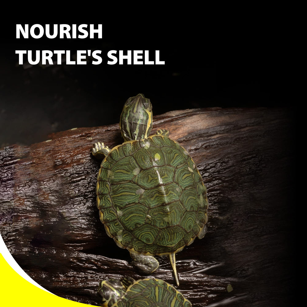 GOOD PARTNER Purify Series – soutien digestif pour tortue active