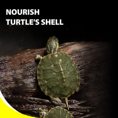 GOOD PARTNER Purify Series – soutien digestif pour tortue active