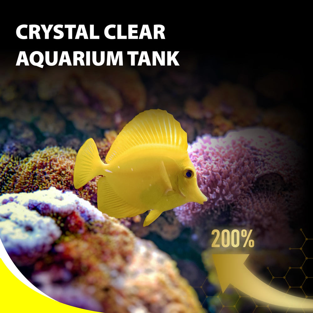 GOOD PARTNER Purify Series pellets pour poisson-clown stimulant l’appétit