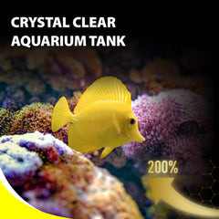 GOOD PARTNER Purify Series pellets pour poisson-clown stimulant l’appétit