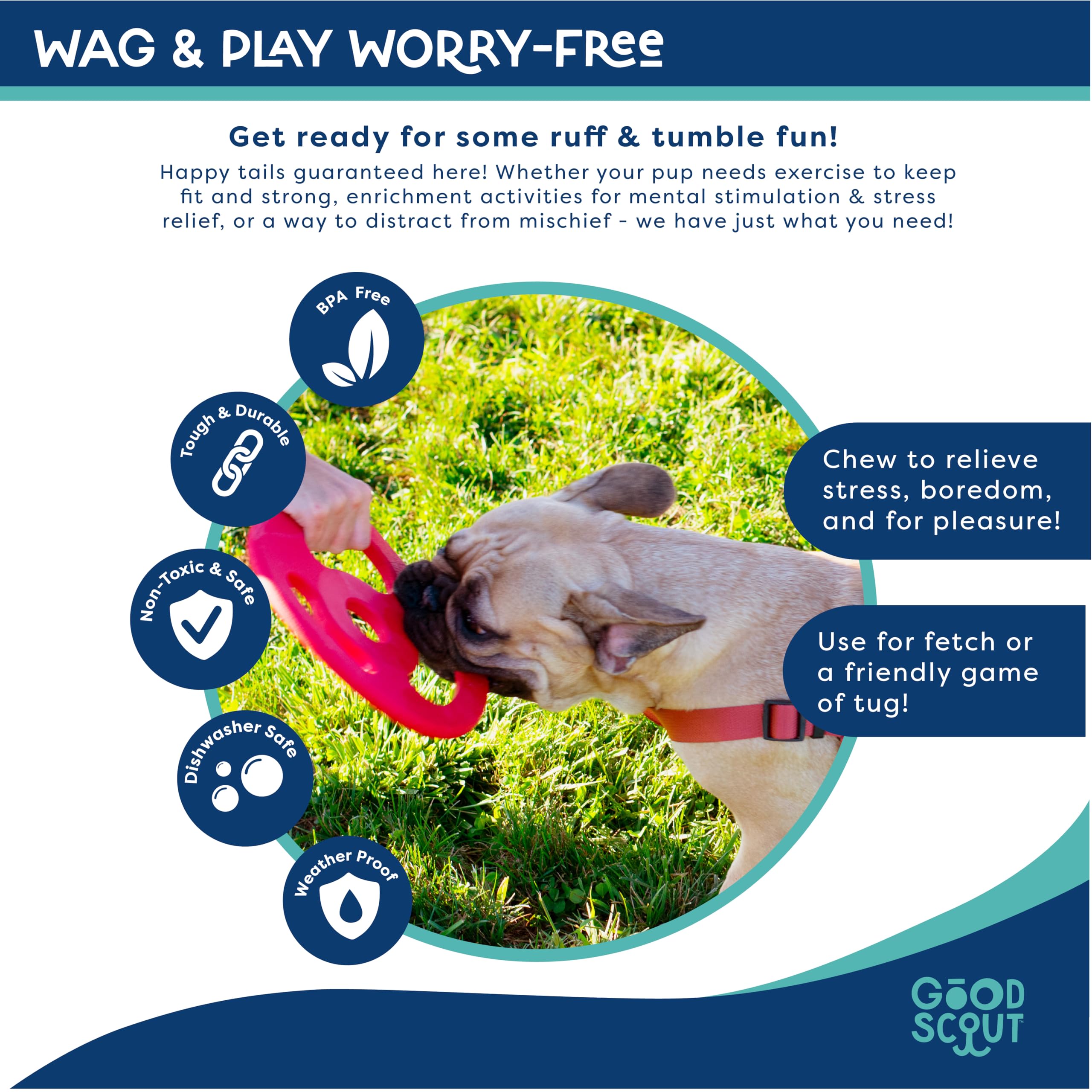 Scout Tugg Frisbee, sécurité dentaire et surface adaptée pour chiens actifs.