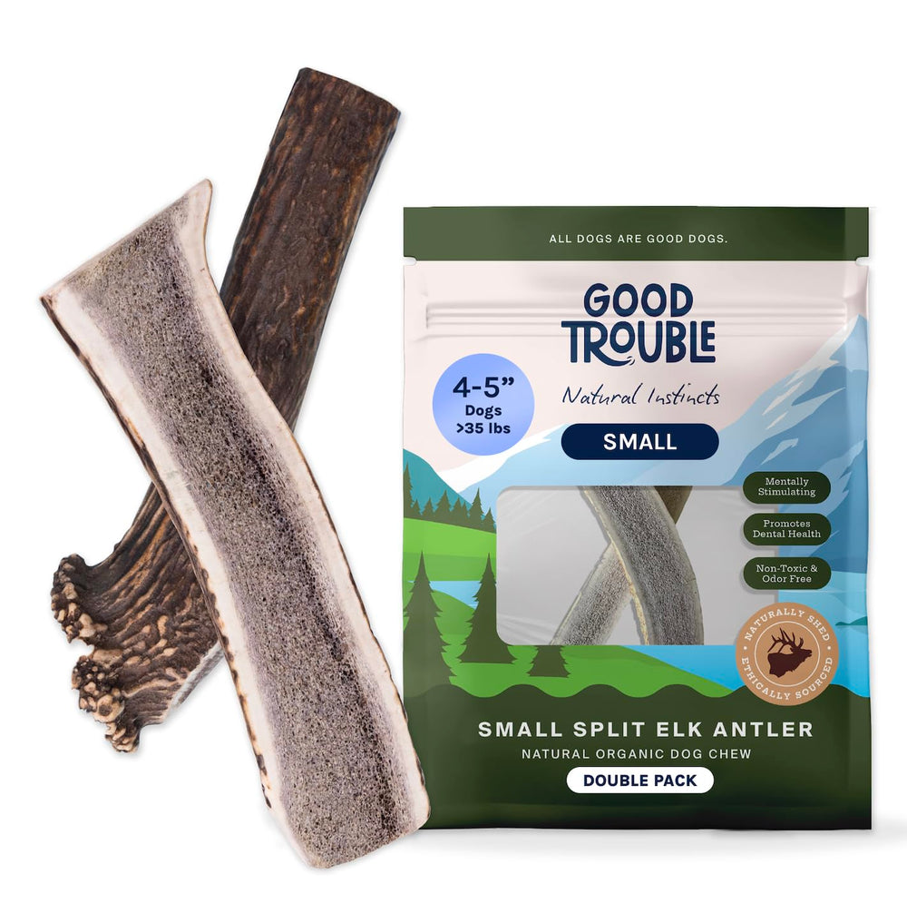 Good Trouble cornes-de-cerf petit-chien ensemble, soutien dentaire naturel et durable