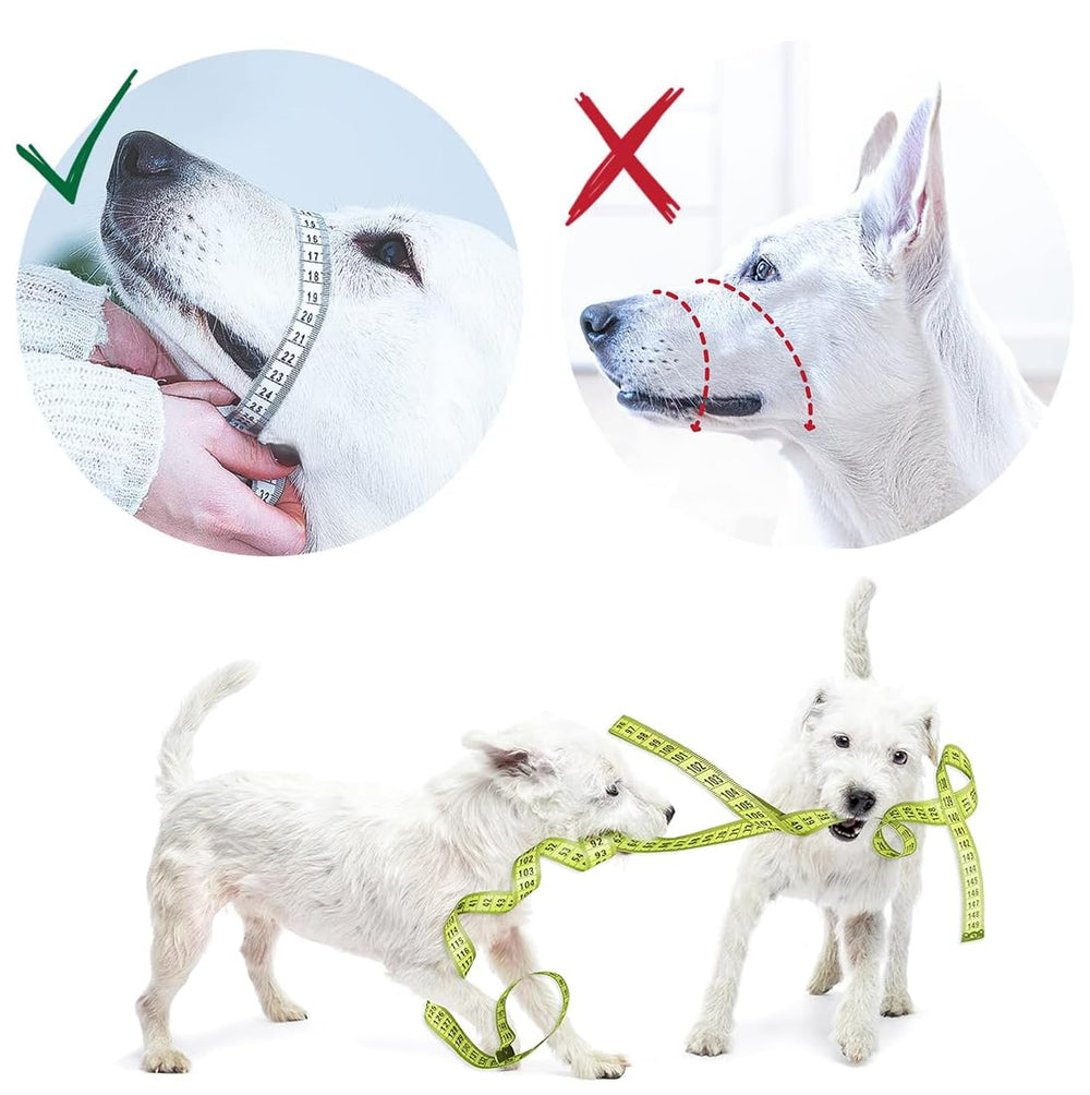 GoodBoy museau guide d'entraînement et lien renforcé avec votre chien.