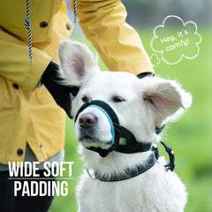 GoodBoy rembourrage néoprène bleu, confort anti-friction durable