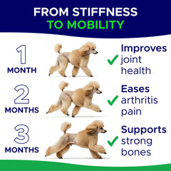 Chiens utilisant GOODGROWLIES quotidiennement après promenade.