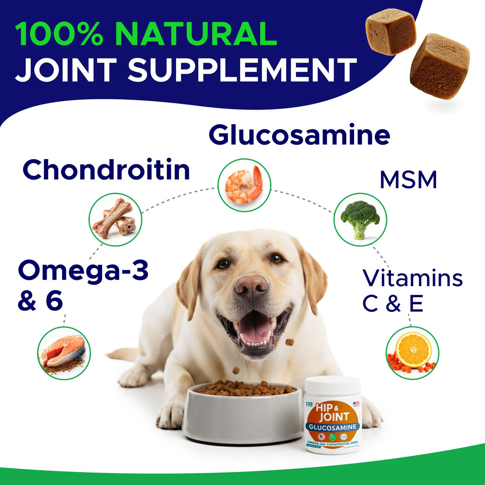 GOODGROWLIES chondroïtine MSM oméga-3 – formule avancée pour articulations des chiens