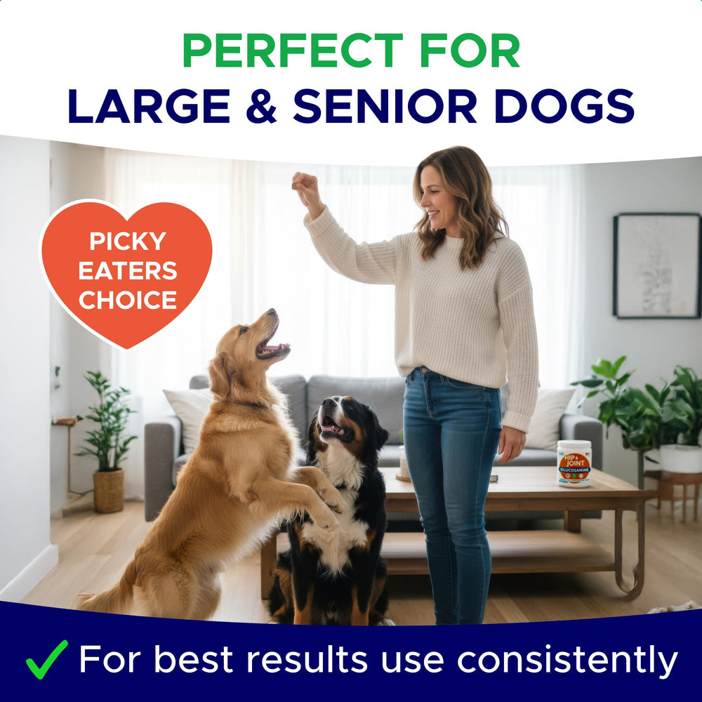 Formule avancée masticables GOODGROWLIES pour le confort des chiens.