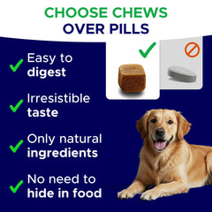 Friandises calmantes GOODGROWLIES – chien prêt pour l’heure du coucher.