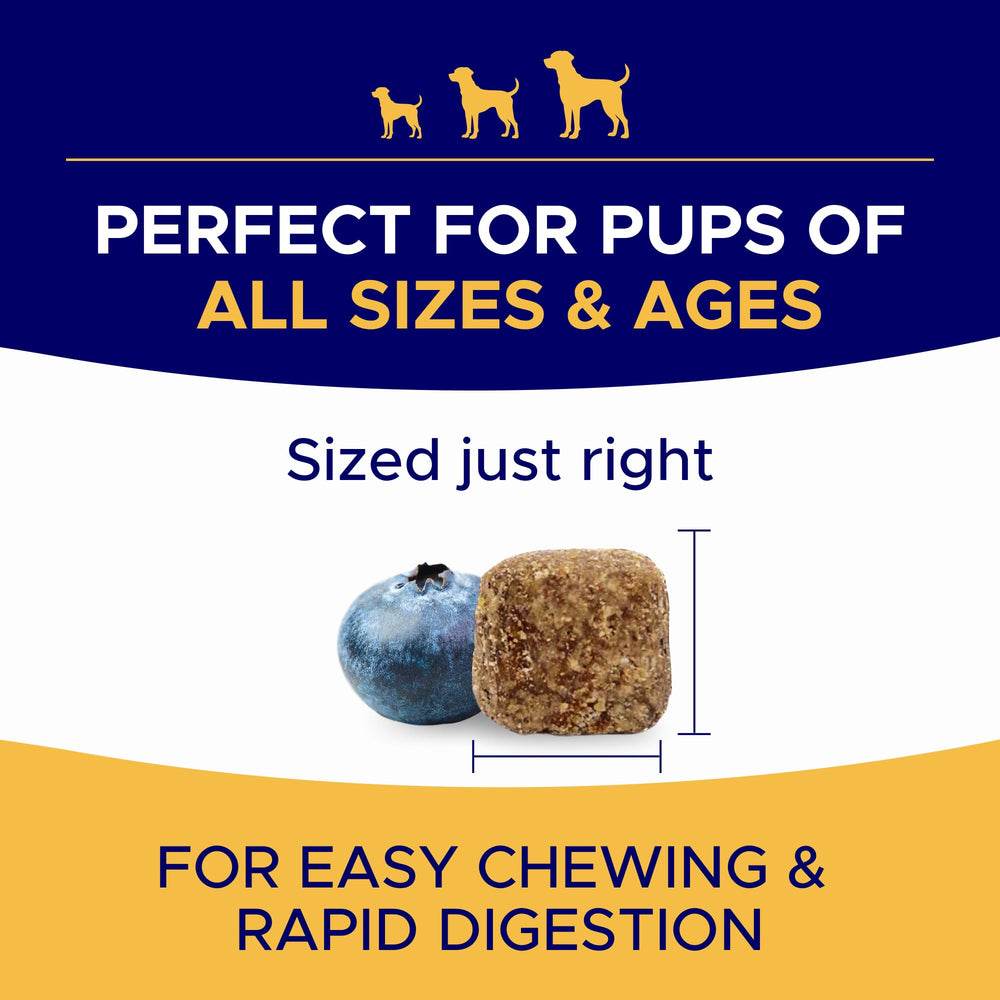GOODGROWLIES Omega 3 pour chien – aide potentielle contre démangeaisons