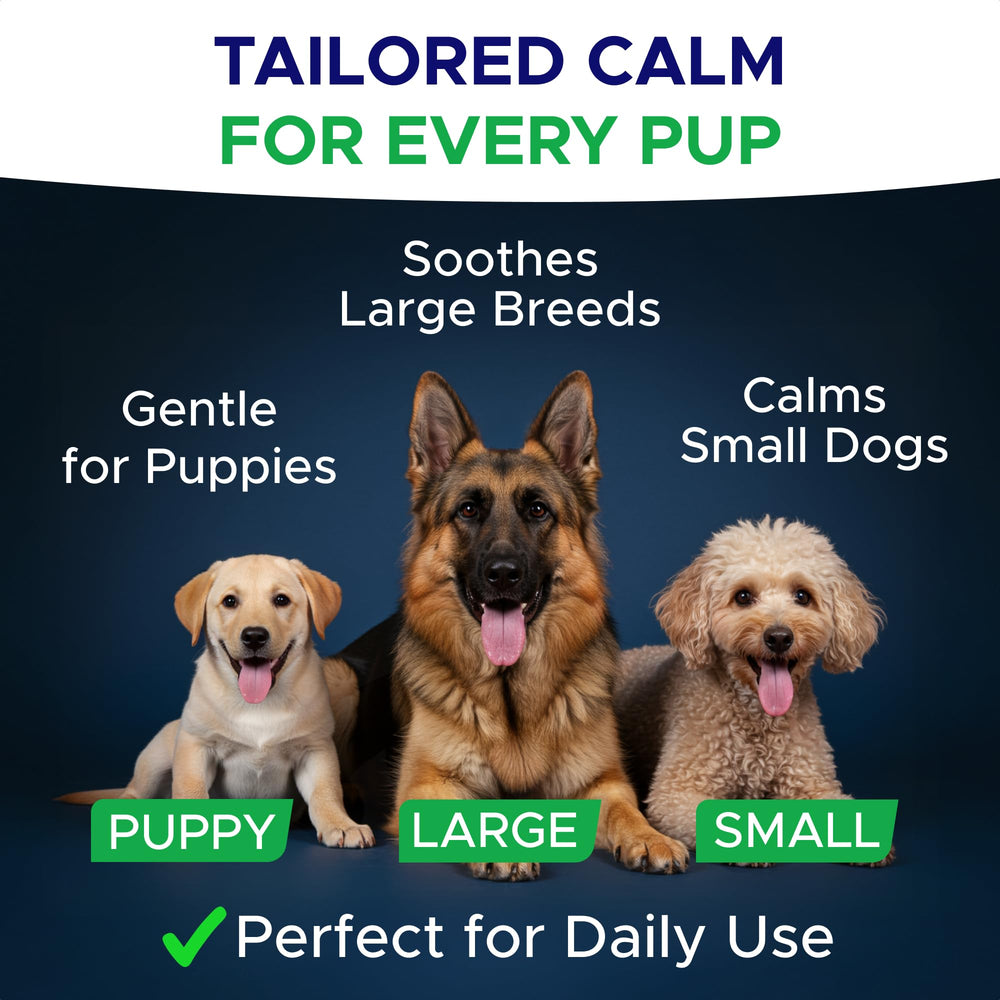 GOODGROWLIES utilisation quotidienne – intégration simple à la routine du chien