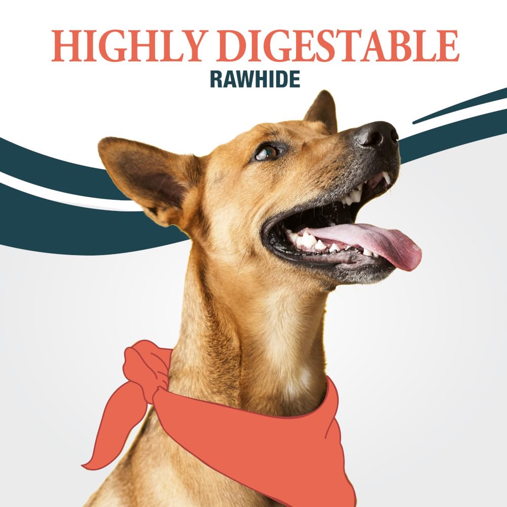 Good’n’Fit joie-de-mastication : chien heureux pendant la mastication.