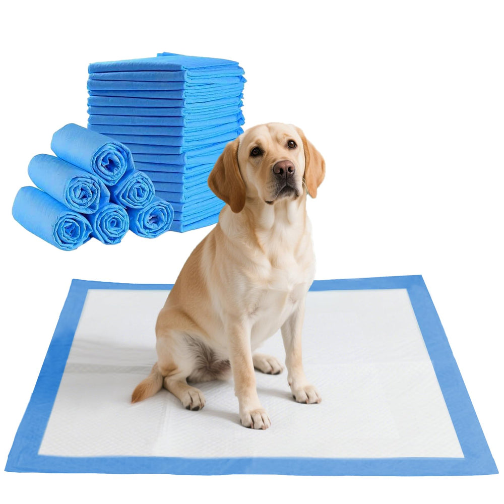 GoofyPet tapis d'apprentissage 22x22 absorbant, protège les surfaces.