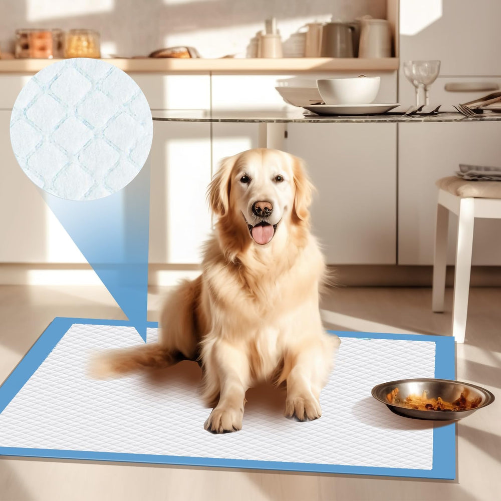 GoofyPet tapis chiot 22x22 compact en voyage, facile à transporter.