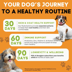 Googipet bouchées probiotiques – digestion naturelle et équilibrée