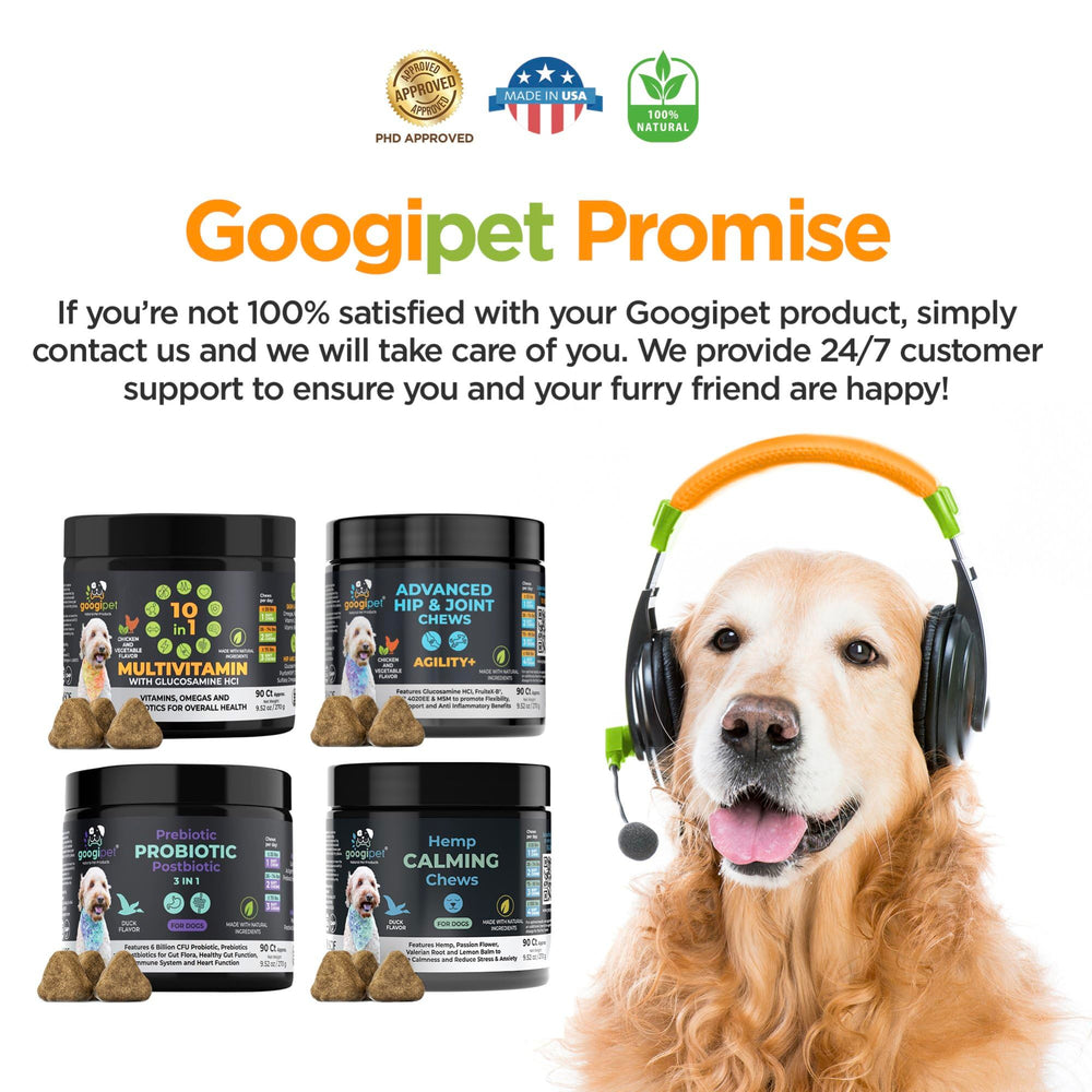 Googipet chien heureux – énergie et bien-être