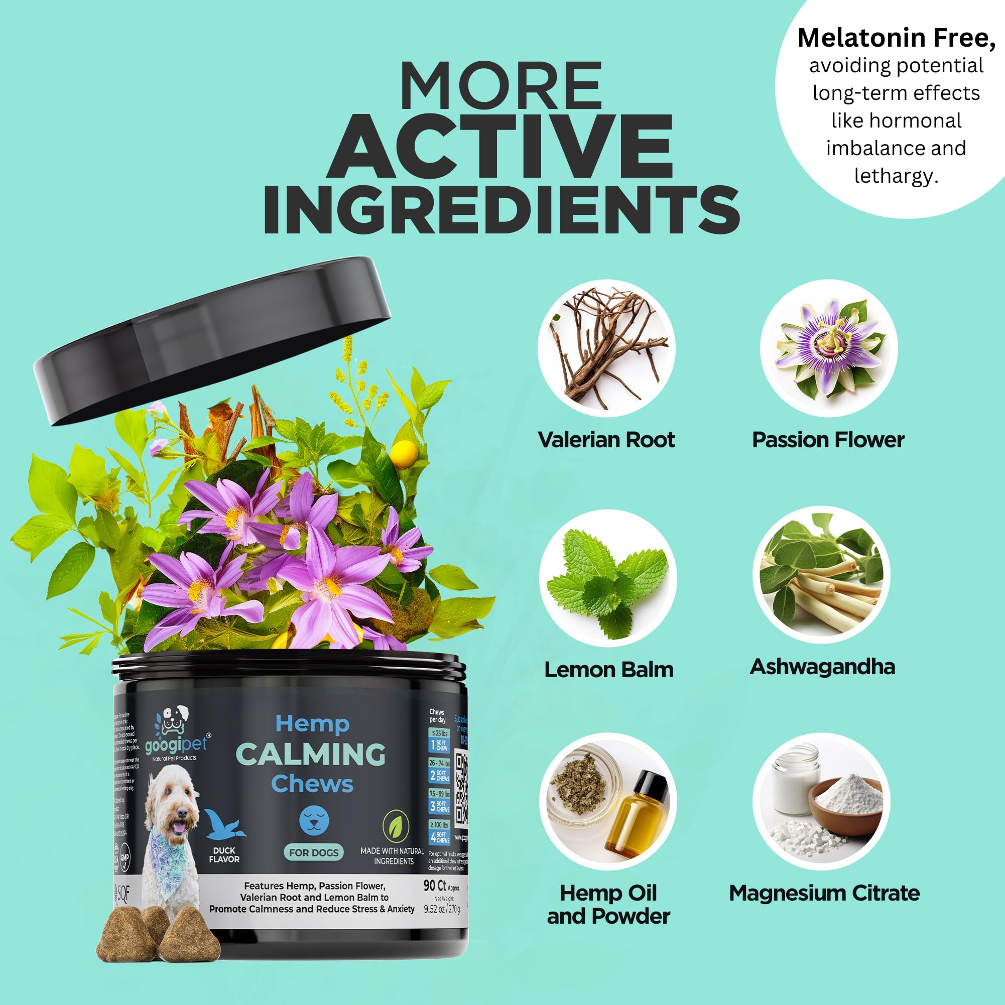 GOOGIPET Daily Hemp Calming Chews – usage avant le départ pour réduire l’anxiété de séparation.