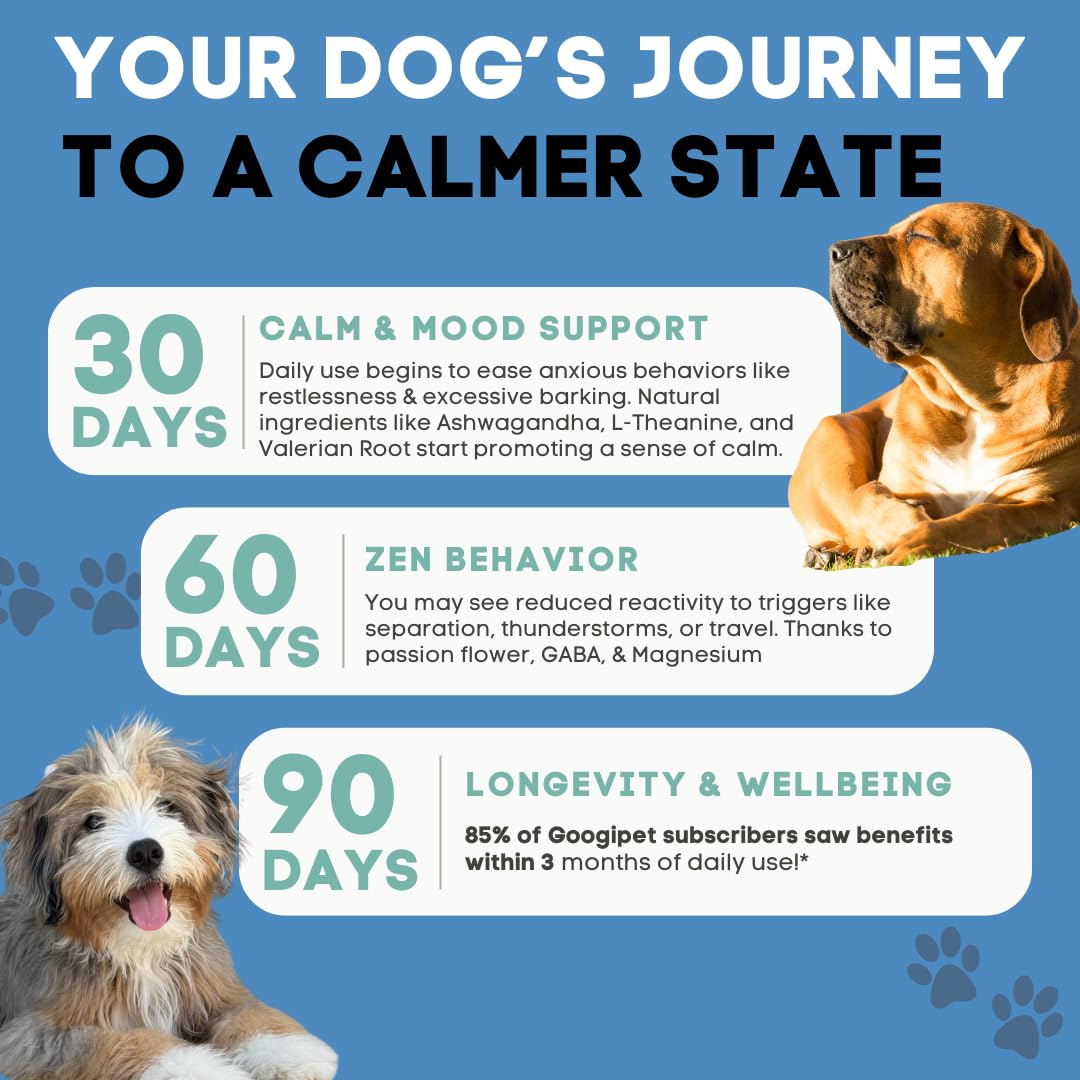GOOGIPET Daily Hemp Calming Chews – friandises moelleuses destinées à favoriser un calme quotidien.
