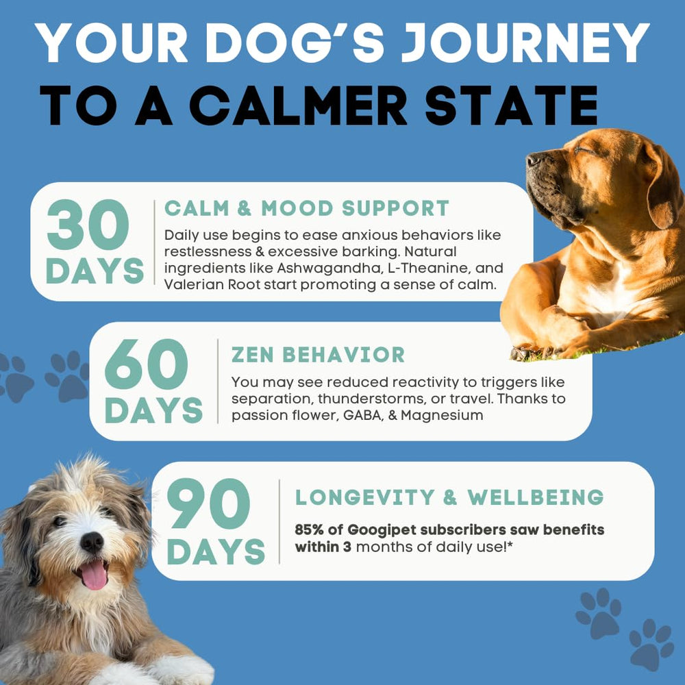 GOOGIPET Daily Hemp Calming Chews – friandises moelleuses destinées à favoriser un calme quotidien.