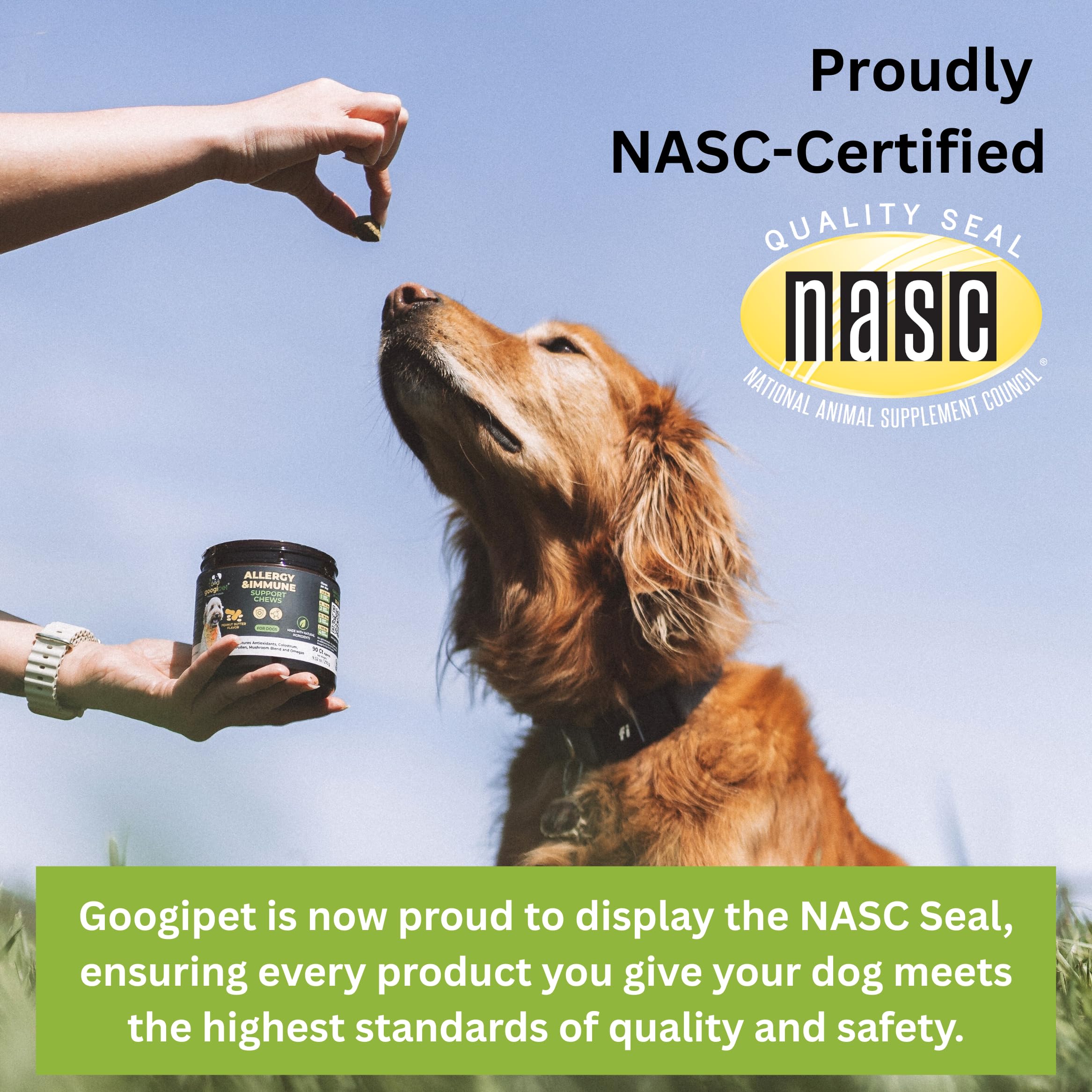 GOOGIPET Daily Hemp Calming Chews – bocal ouvert, friandises calmes prêtes à l’emploi pour chiens.