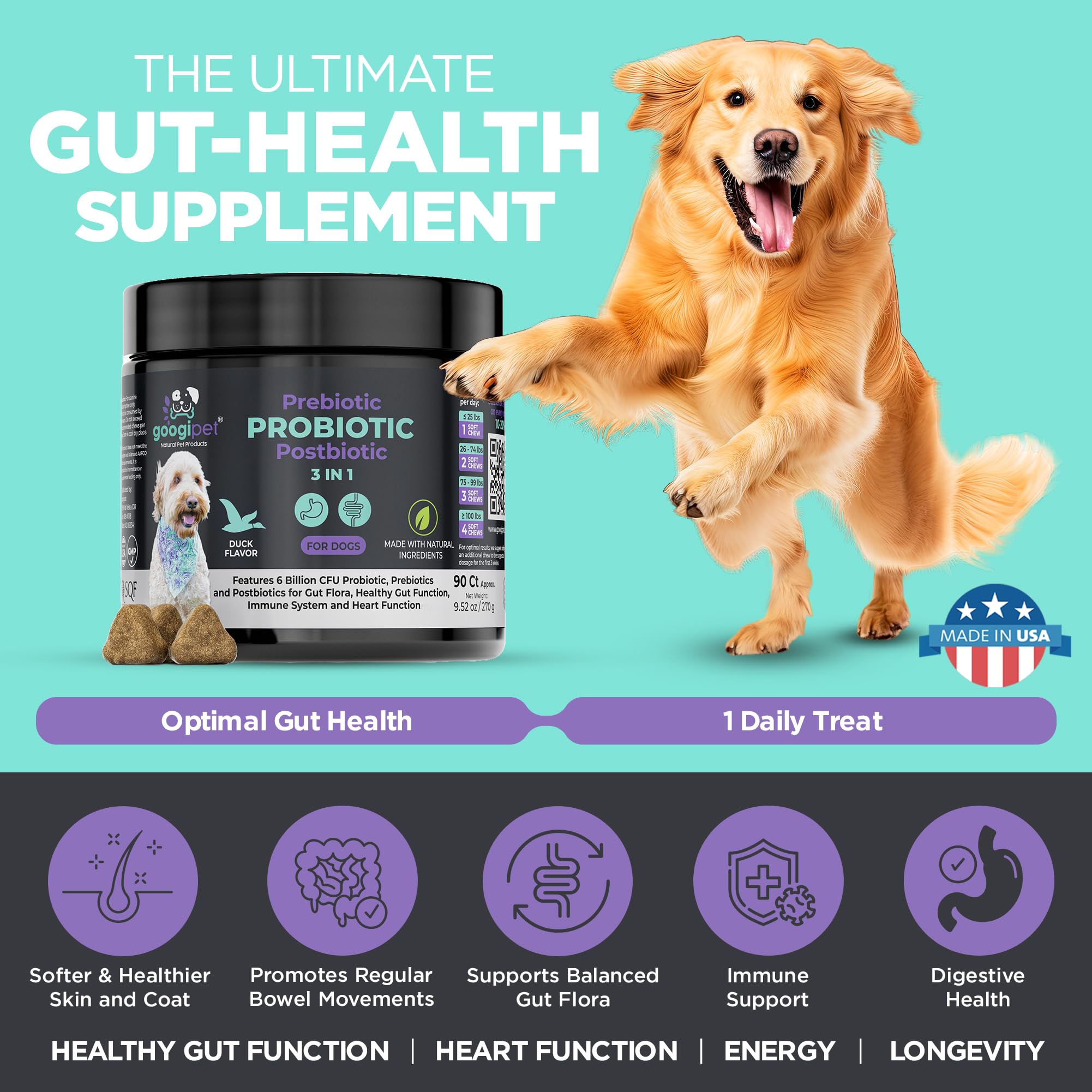 Googipet digestion équilibrée chien — peut réduire les inconforts digestifs.
