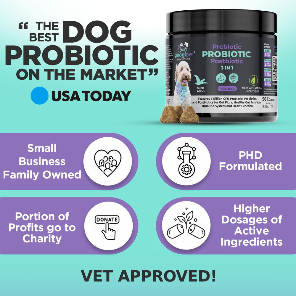 Googipet flore intestinale chien — soutien à l’équilibre digestif.