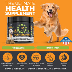 Googipet Omega-3-6 Peau Poil – nourrissant, peau et poil plus sains.