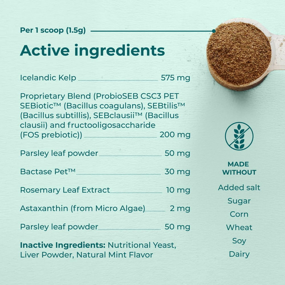 Googipet Poudre Dentaire pour chien — goût foie et levure nutritionnelle.