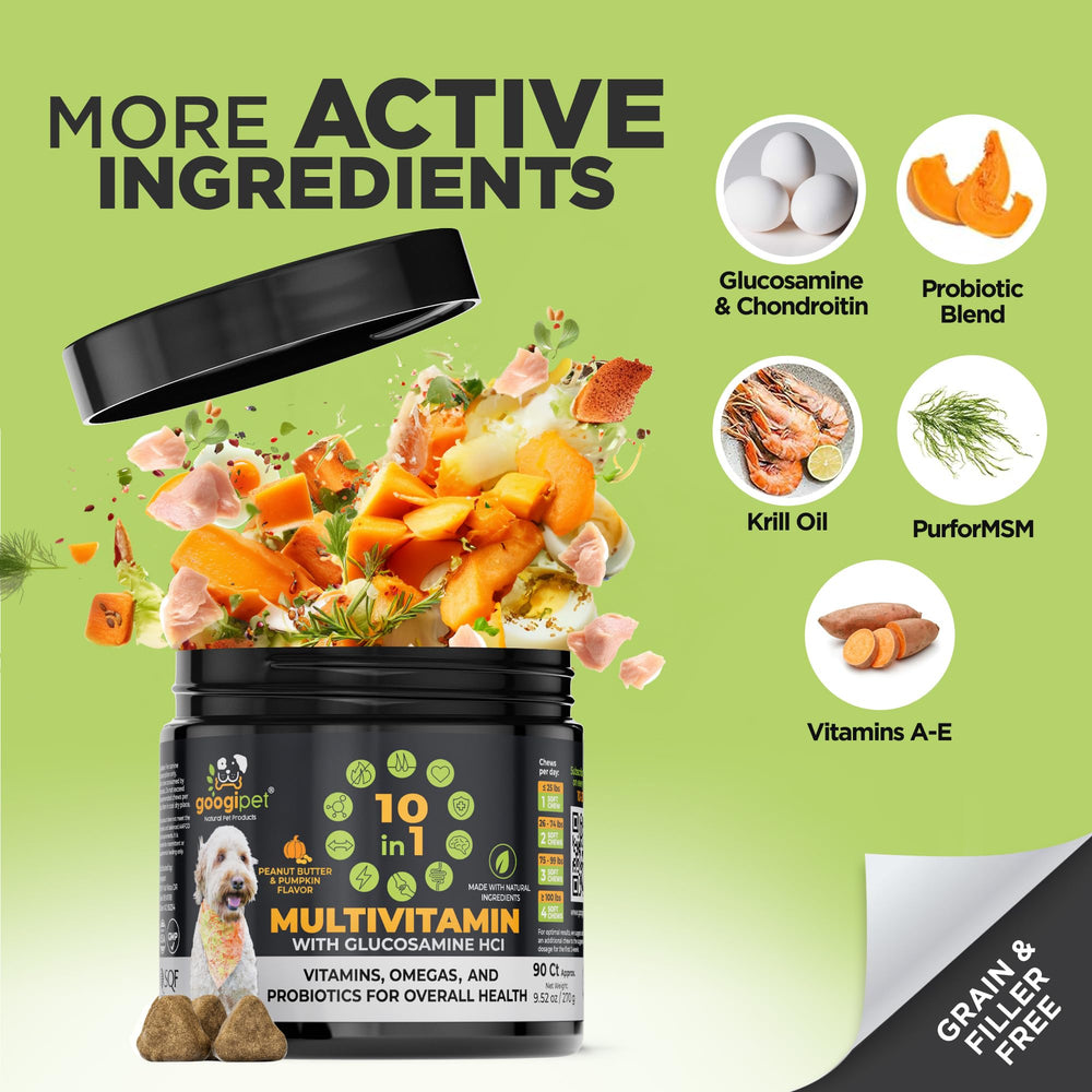 Googipet Saveur Beurre de Cacahuète Potiron – friandise savoureuse et appétente.