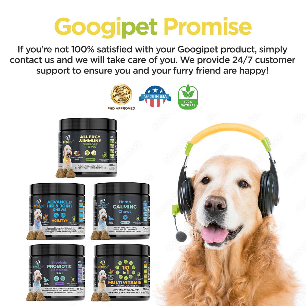 Googipet Usine USA – fabrication conforme et tests