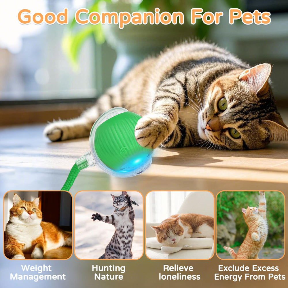 Goosheep câble Type-C inclus pour l’alimentation de la balle.