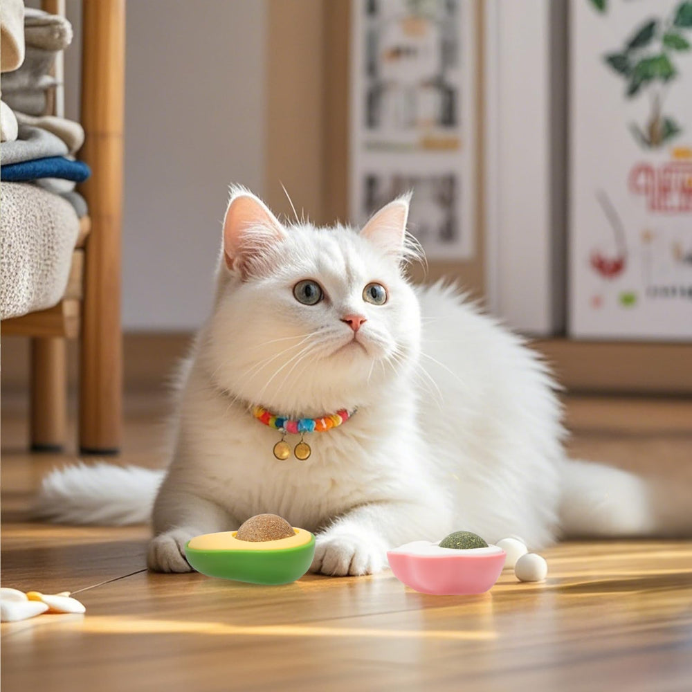 Goosheep Installation facile — station de jeu autonome pour chats actifs.