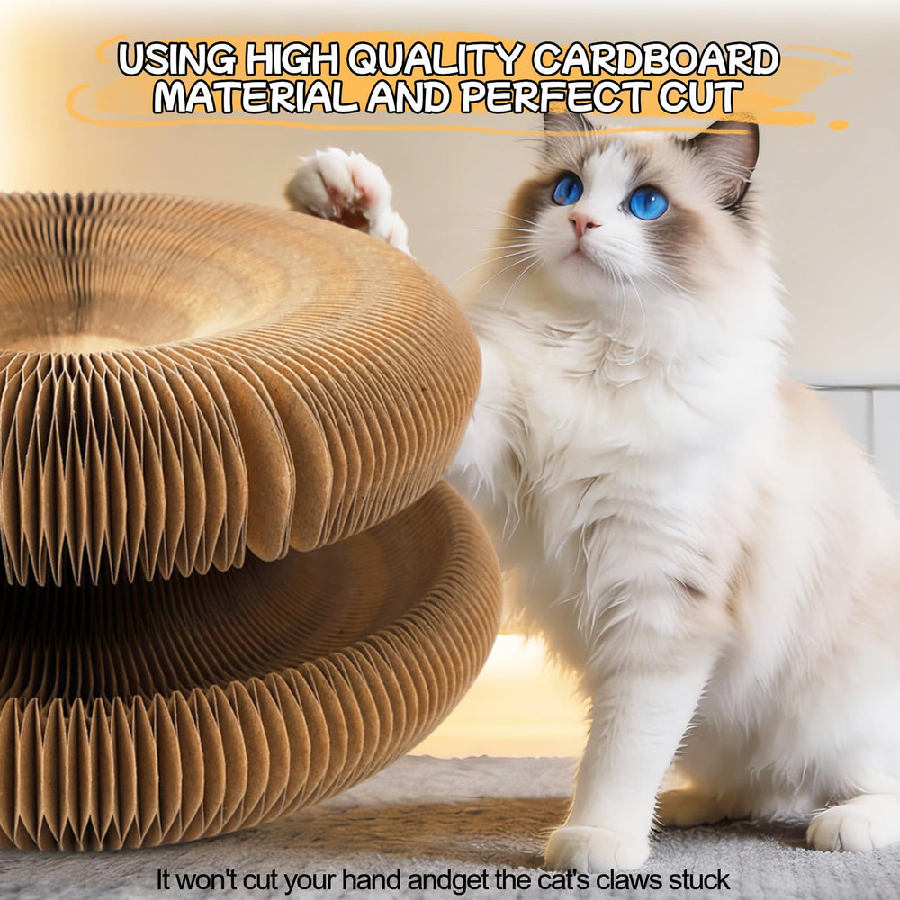 Goosheep Kitty Kurls carton durable résistant aux griffes.