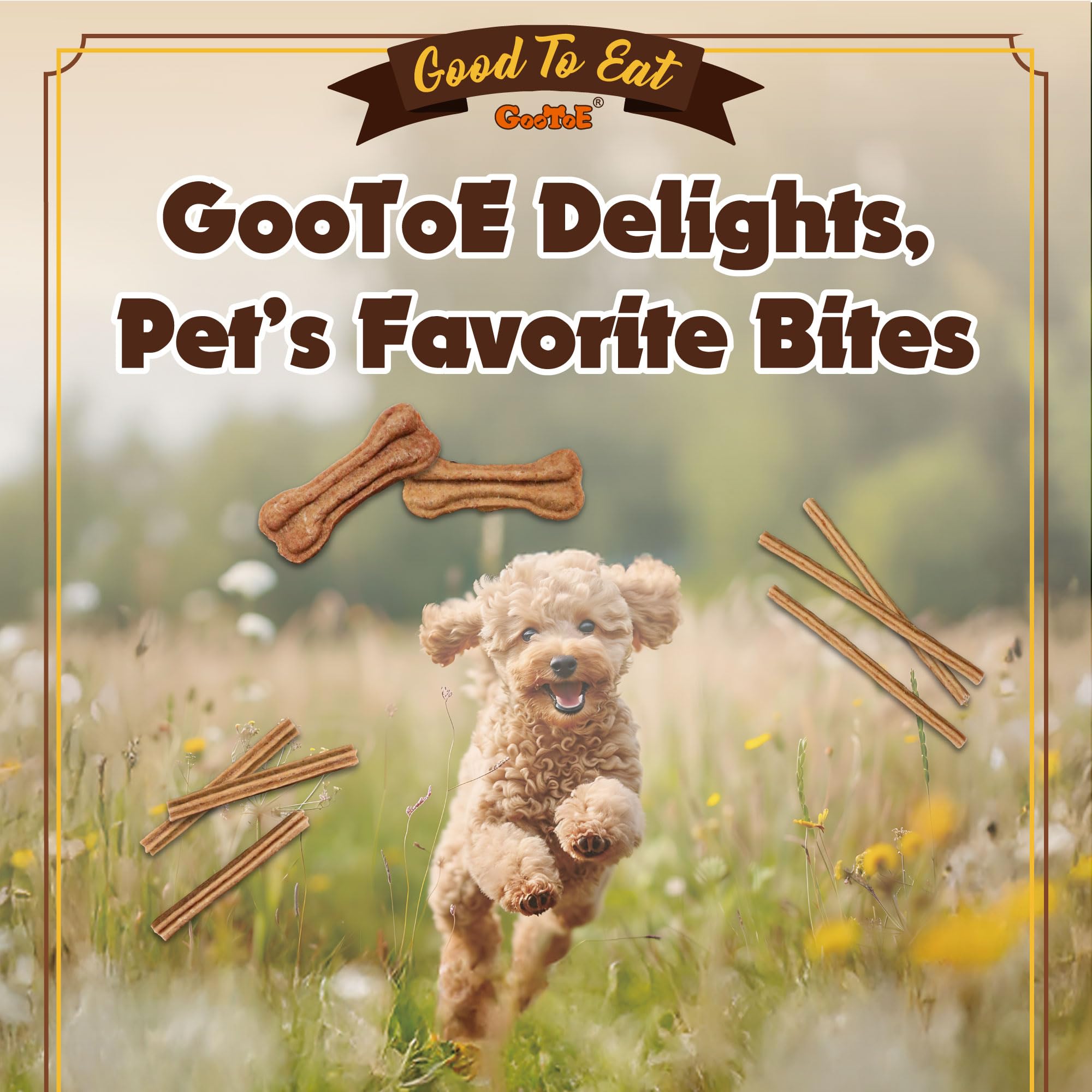 Gootoe offre une option naturelle sans cereales pour chien.