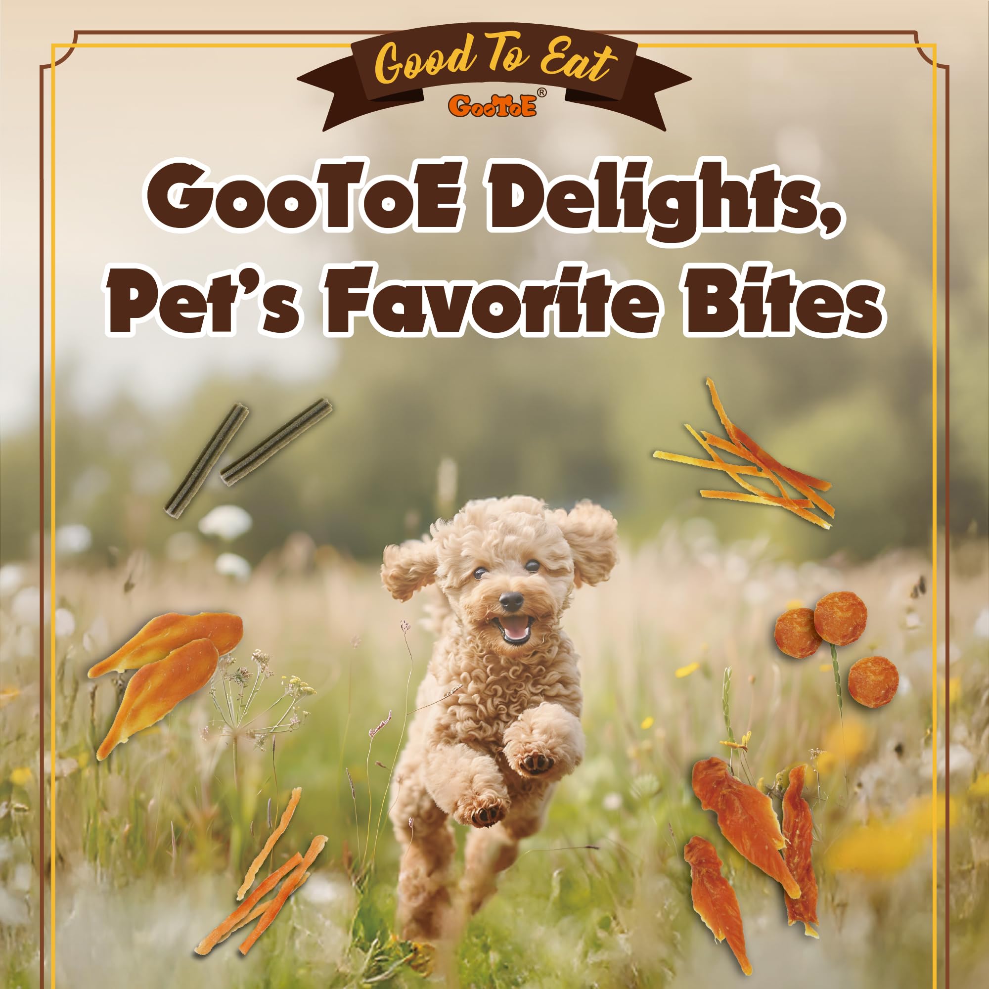 Gootoe sans céréales poulet : plaisir gourmand sans céréales pour toutou.
