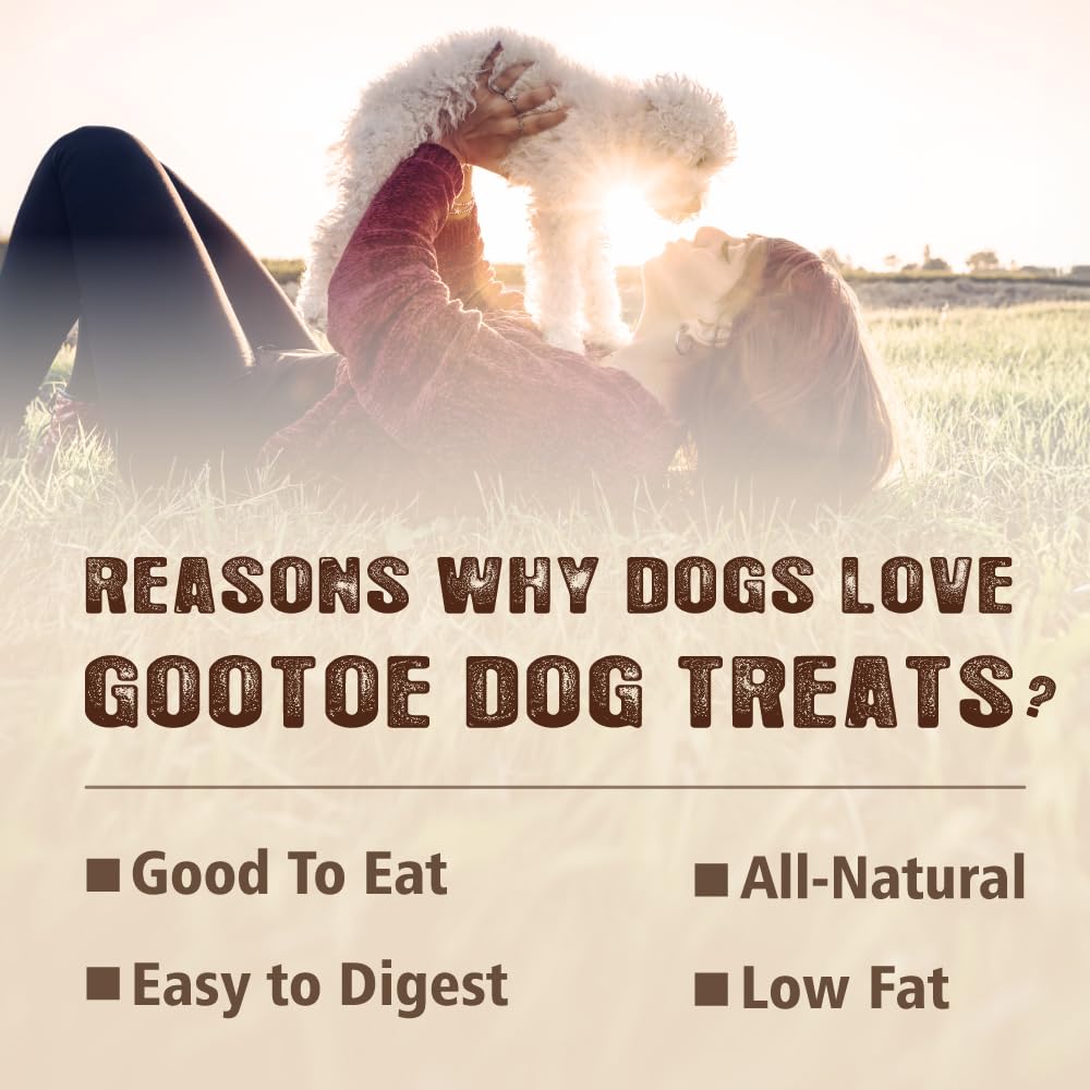 Gootoe tendon de dinde – friandise naturelle sans additifs pour chiens délicats.