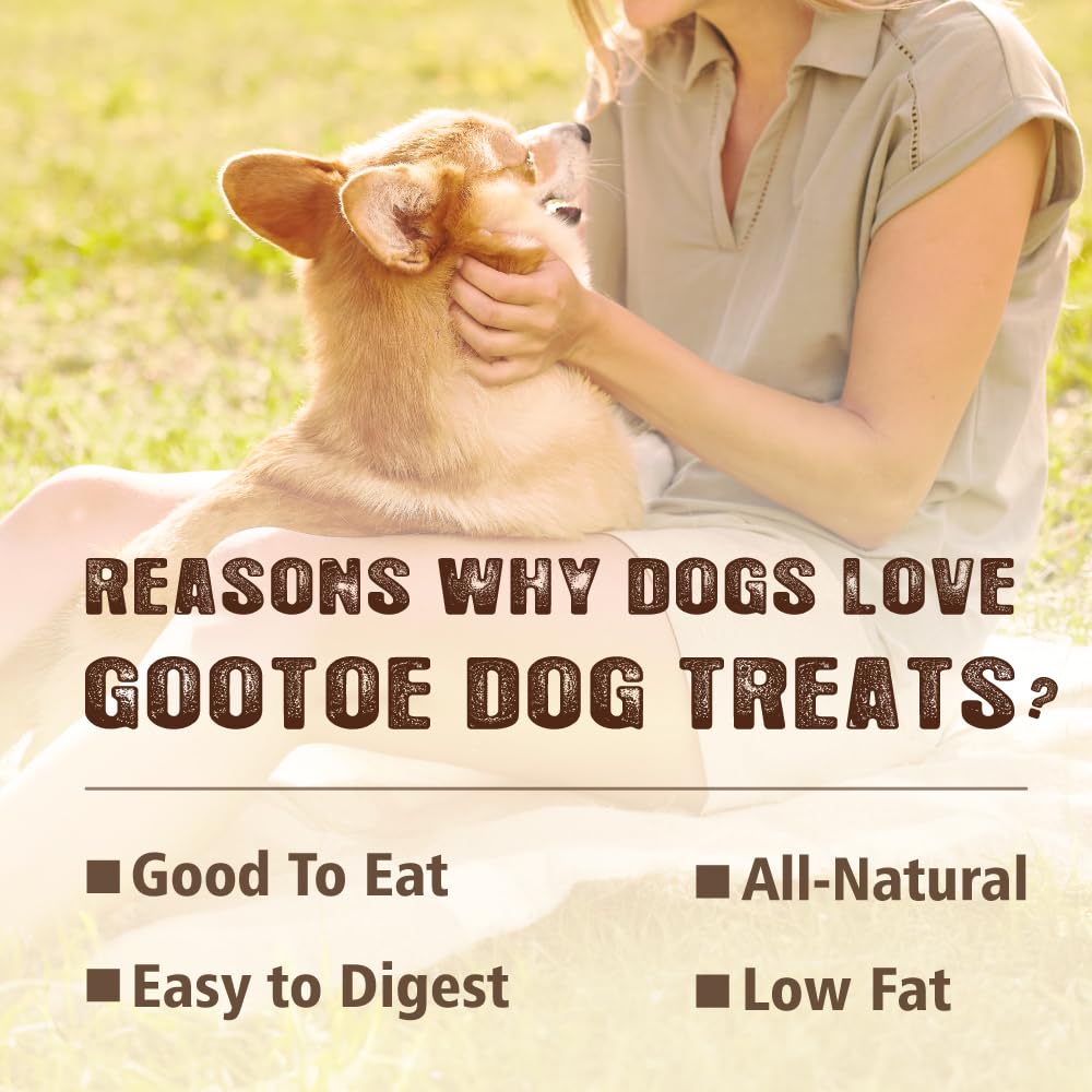 Gootoe tendon de dinde, récompense d'entraînement pour petits chiens