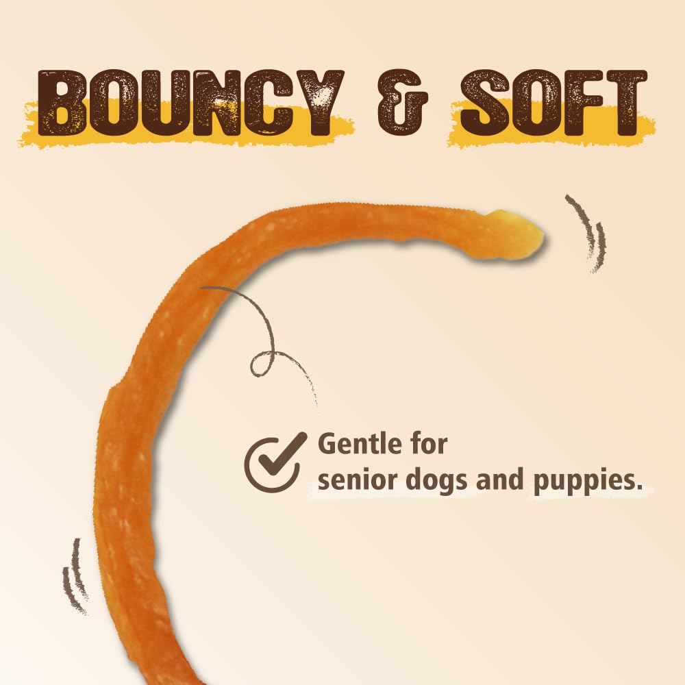 Gootoe tendon dinde sans céréales, option digeste pour chiens sensibles.