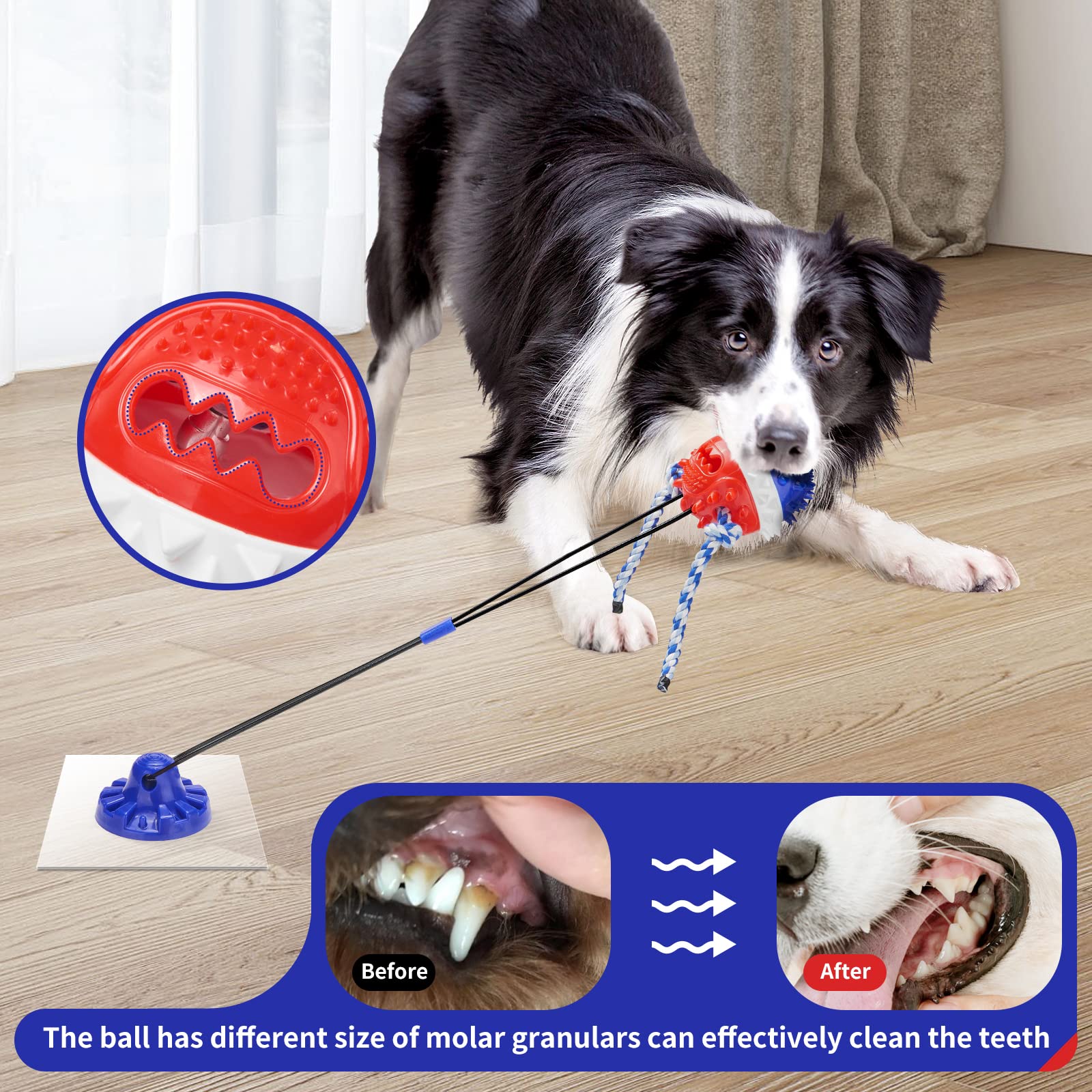 Gootosee corde renforcée : résistance durable pour chiens agressifs qui mordent.