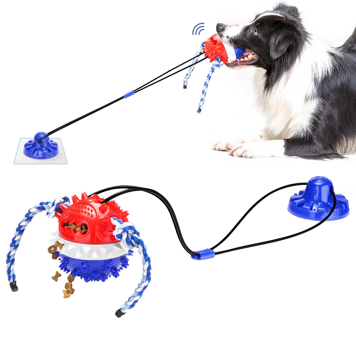 Gootosee ventouse durable : parfait pour tir à la corde sur sols lisses.