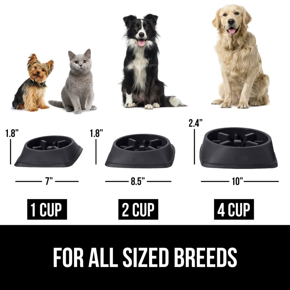 Gorilla Grip assiette lente taille 1 tasse idéale pour petits chiens et chats