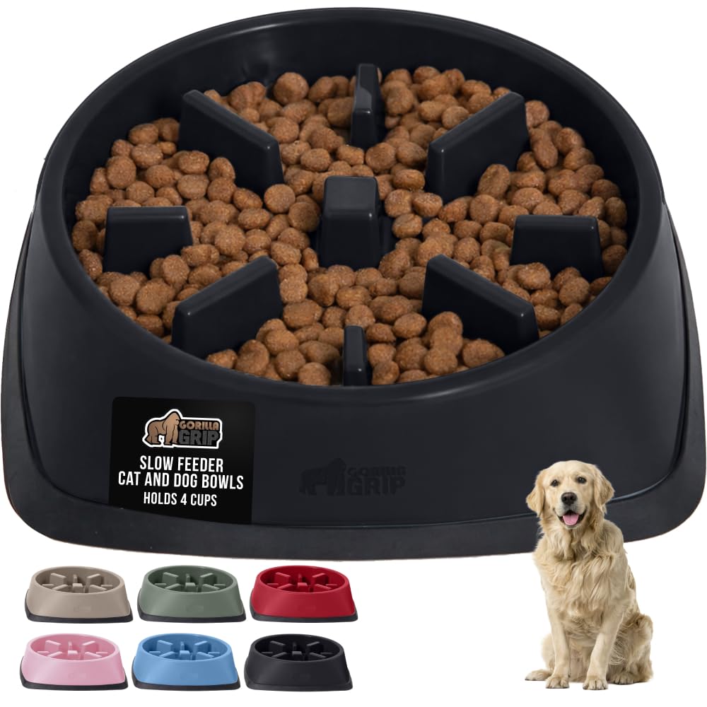 Gorilla Grip bol lent en action, ralentit l'alimentation des chiens et chats.
